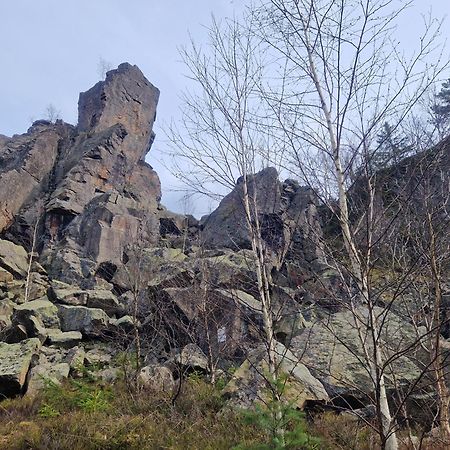 Apartment Fewobaerenstein Екстериор снимка